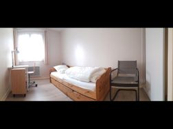 Photo n°4