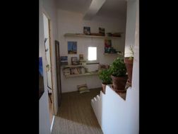 Photo n°6