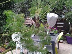 Photo n°6