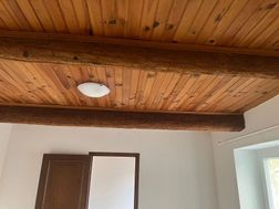 Photo n°6