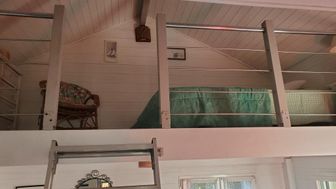 Photo n°4
