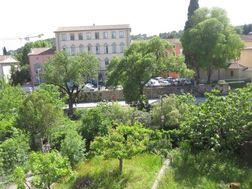 Photo n°1