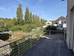 Photo n°8