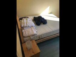 Photo n°6