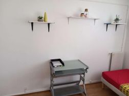 Photo n°6