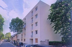 Photo n°5