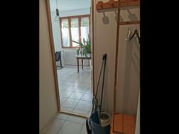 Photo n°8