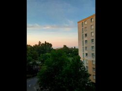 Photo n°9