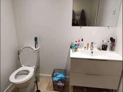 Photo n°12