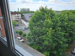 Photo n°7