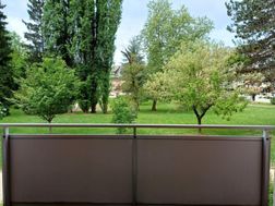 Photo n°9