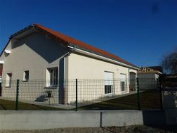 Photo n°1