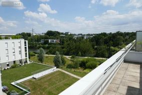 Photo n°2