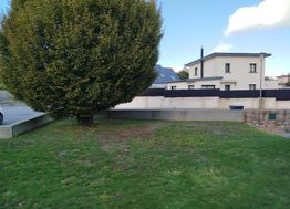 Photo n°13