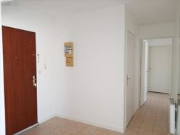 Photo n°4