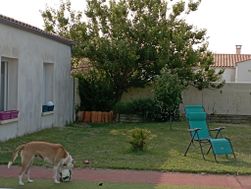 Photo n°6