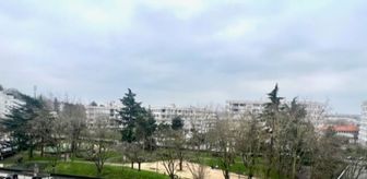 Photo n°2