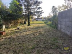 Photo n°6