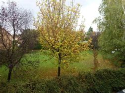 Photo n°4