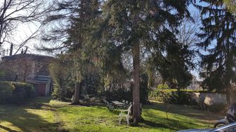 Photo n°6