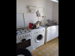 Photo n°6