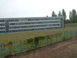Photo n°4