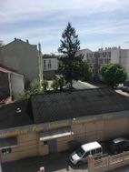Photo n°5