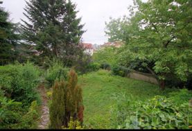 Photo n°4