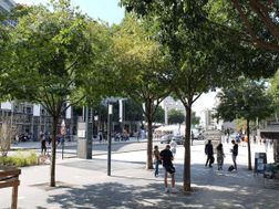 Photo n°3