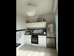Photo n°8