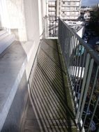 Photo n°3