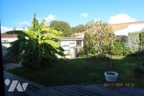 Photo n°8