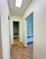 Photo n°8