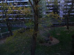 Photo n°3