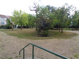 Photo n°5