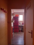 Photo n°4