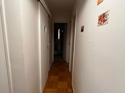 Photo n°8