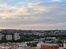 Photo n°6