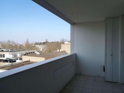 Photo n°5