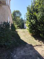 Photo n°5
