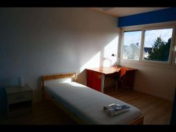 Photo n°3