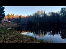 Photo n°9