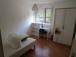 Photo n°6