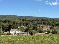 Photo n°3