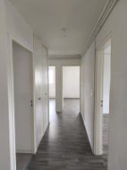 Photo n°3