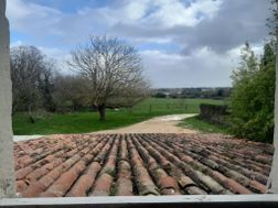 Photo n°1