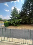 Photo n°2