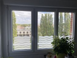 Photo n°3