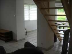 Photo n°6