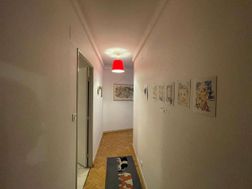 Photo n°9